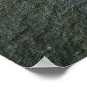 Plant dat in de boulder groeit poster (Hoek)