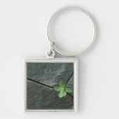 Plant dat in de boulder groeit sleutelhanger (Voorkant)