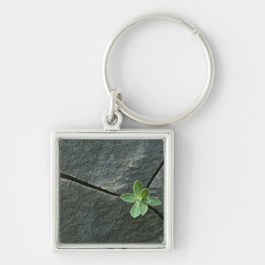 Plant dat in de boulder groeit sleutelhanger (Voorkant)