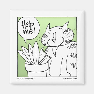 Plant Eater Cat Magneet