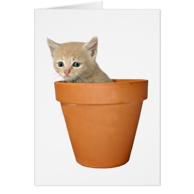 Plant een beetje liefde (Voorkant)