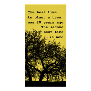 Plant een boom, niet te laat poster perfect poster