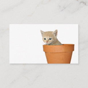 Plant een liefdesprofielkaart contactkaartje