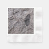 Plant Fossil 350 miljoen JAAR. Oude bedrukte cockt Servetten (Voorkant)