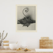  Plant Fotografie - Archival Print (Keuken)