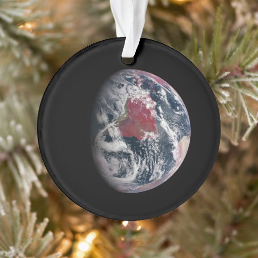 Plant groei op Planet Earth. Ornament (Boom)