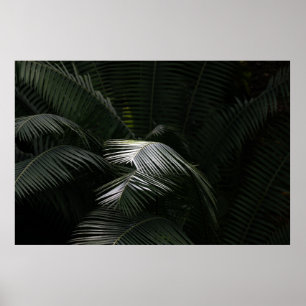 Plant GROEN LEAF Poster