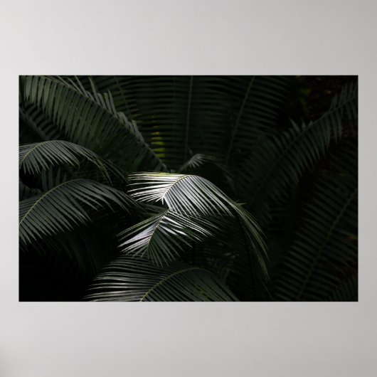 Plant GROEN LEAF Poster (Voorkant)