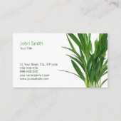 Plant Groene bladeren Visitekaartje (Voorkant)