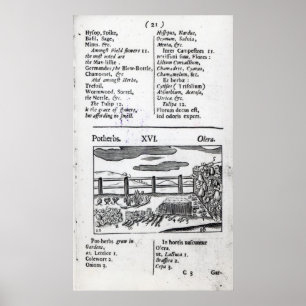 Plant Husbandry uit Orbis sensualism pictus Poster