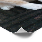 Plant Iets Poster (Hoek)