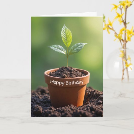 Plant in Terracotta Pot Kaart (Gele Bloem)