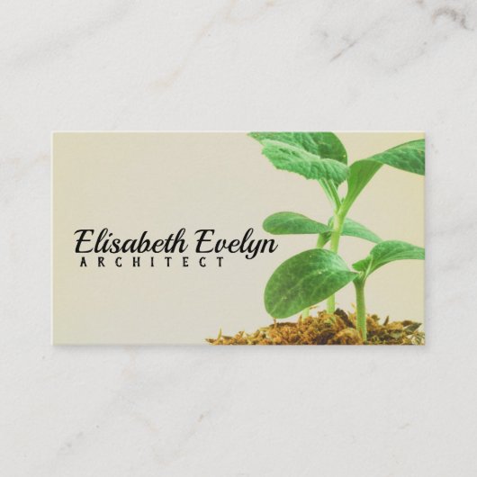 Plant jonge bomen visitekaartje (Voorkant)