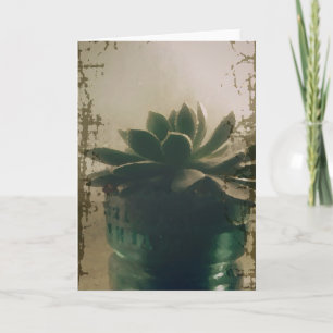 Plant Kaart
