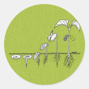 Plant kieming illustratie ronde sticker