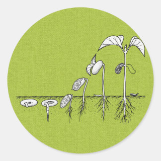 Plant kieming illustratie ronde sticker