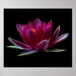 Plant Lotus Flower Water Poster
