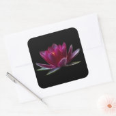 Plant Lotus Flower Water Vierkante Sticker (Envelop)