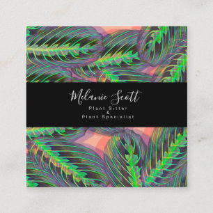 Plant Maranta Prayer Calathea Illustratie Vierkante Visitekaartje
