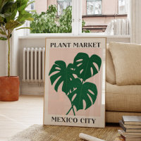 Plant Markt Mexico Groene Monstrera Kamerplant