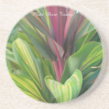 Plant Meer
