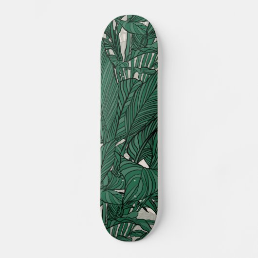 Plant met flesvormig  skateboard (Voorkant)