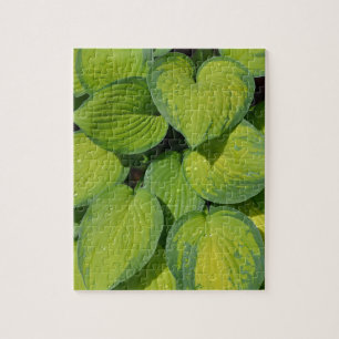 Plant met groene veer legpuzzel
