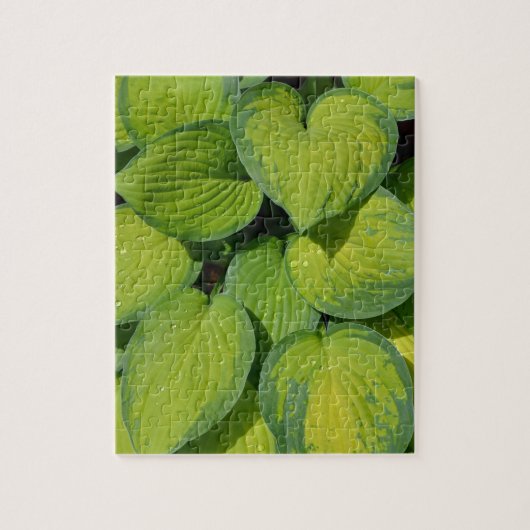 Plant met groene veer legpuzzel (Verticaal)