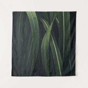 Plant MET GROENTE LEVERING Wandkleed