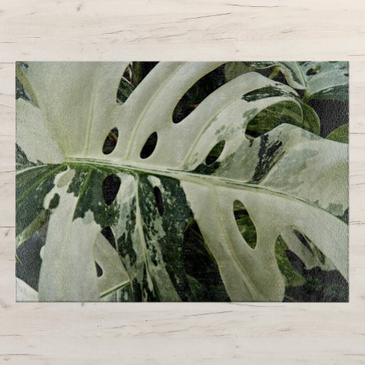 Plant met variëteiten in monstera botanisch groot snijplank