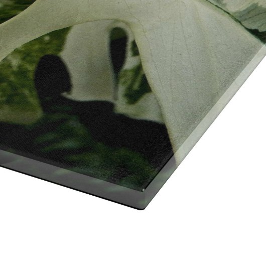 Plant met variëteiten in monstera botanisch groot snijplank (Hoek)