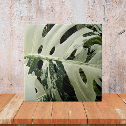 Plant met variëteiten monstera botanisch tegeltje