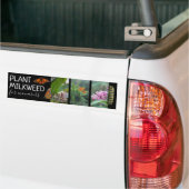 Plant Milkweed voor monarchen aangepaste foto's Bumpersticker (Op Truck)