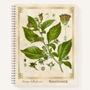  Plant Nightshade Belladonna Herb Notitieboek