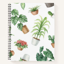 Plant patroon