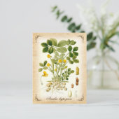 Plant pinda's -  illustratie briefkaart (Staand voorkant)