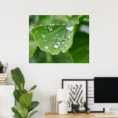 Plant Poster (Thuiskantoor)