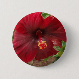 plant ronde button 5,7 cm