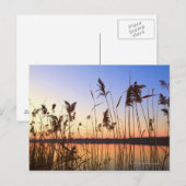 Plant Silhouette door Lakeside sunset Briefkaart (Voorkant / Achterkant)