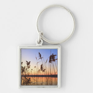 Plant Silhouette door Lakeside sunset Sleutelhanger
