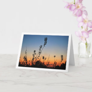 Plant Silhouetten in Sky Landscape Kaart