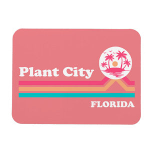 Plant Stad Florida Magneet