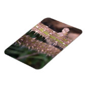 Plant Stem Thorns Natuur Park Magneet (Linkerzijde)