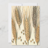 Plant tegen droogte,  landbouw (Voorkant)