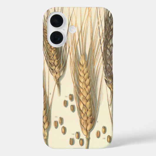 Plant tegen droogte, landbouw Case-Mate iPhone case (Achterkant)