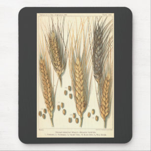 Plant tegen droogte,  landbouw muismat