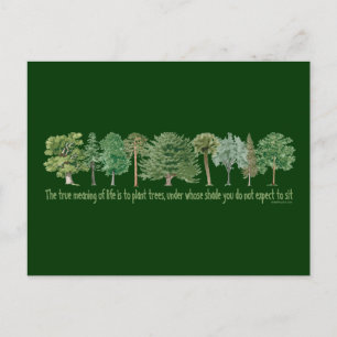 Plant Trees Briefkaart