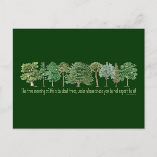 Plant Trees Briefkaart (Voorkant)
