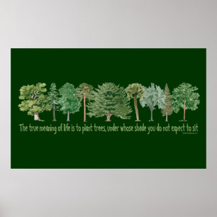 Plant Trees Poster