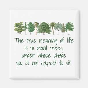 Plant Trees Shade Betekenis Life Environmental Ma Magneet